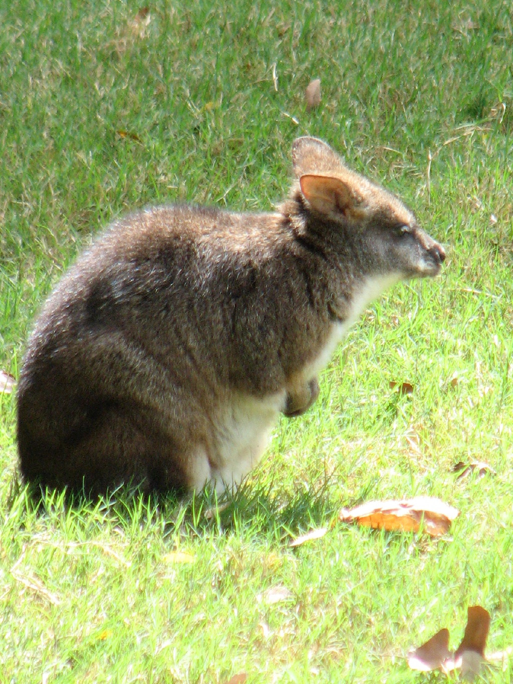 20100206 513.JPG
